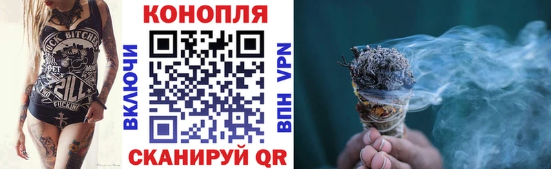 Конопля план  Купить  Мариинский Посад 